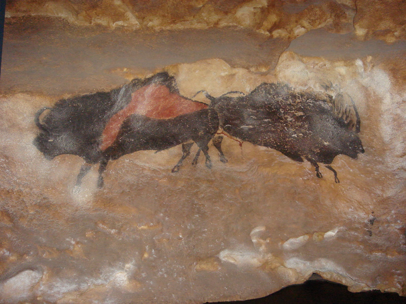 Bisontes adosados
